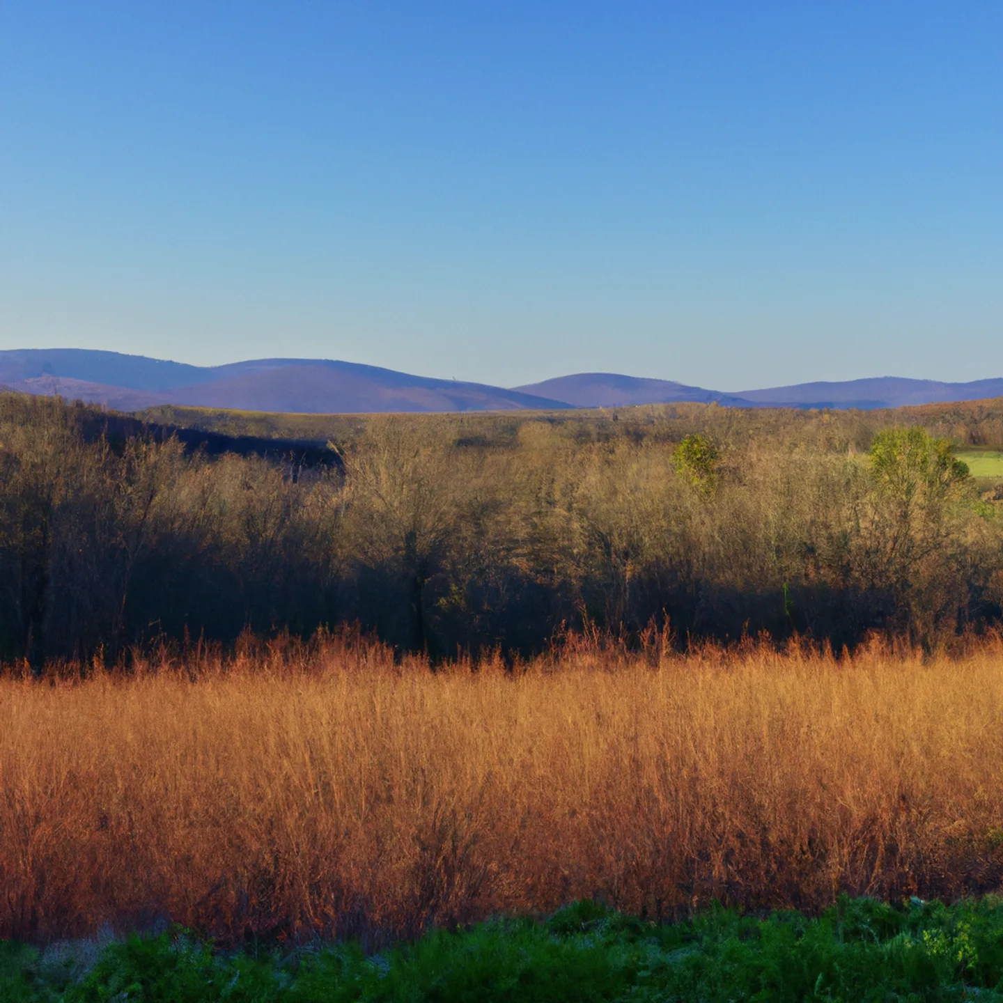 Vacant land parcel for sale in Albemarle County, Virginia