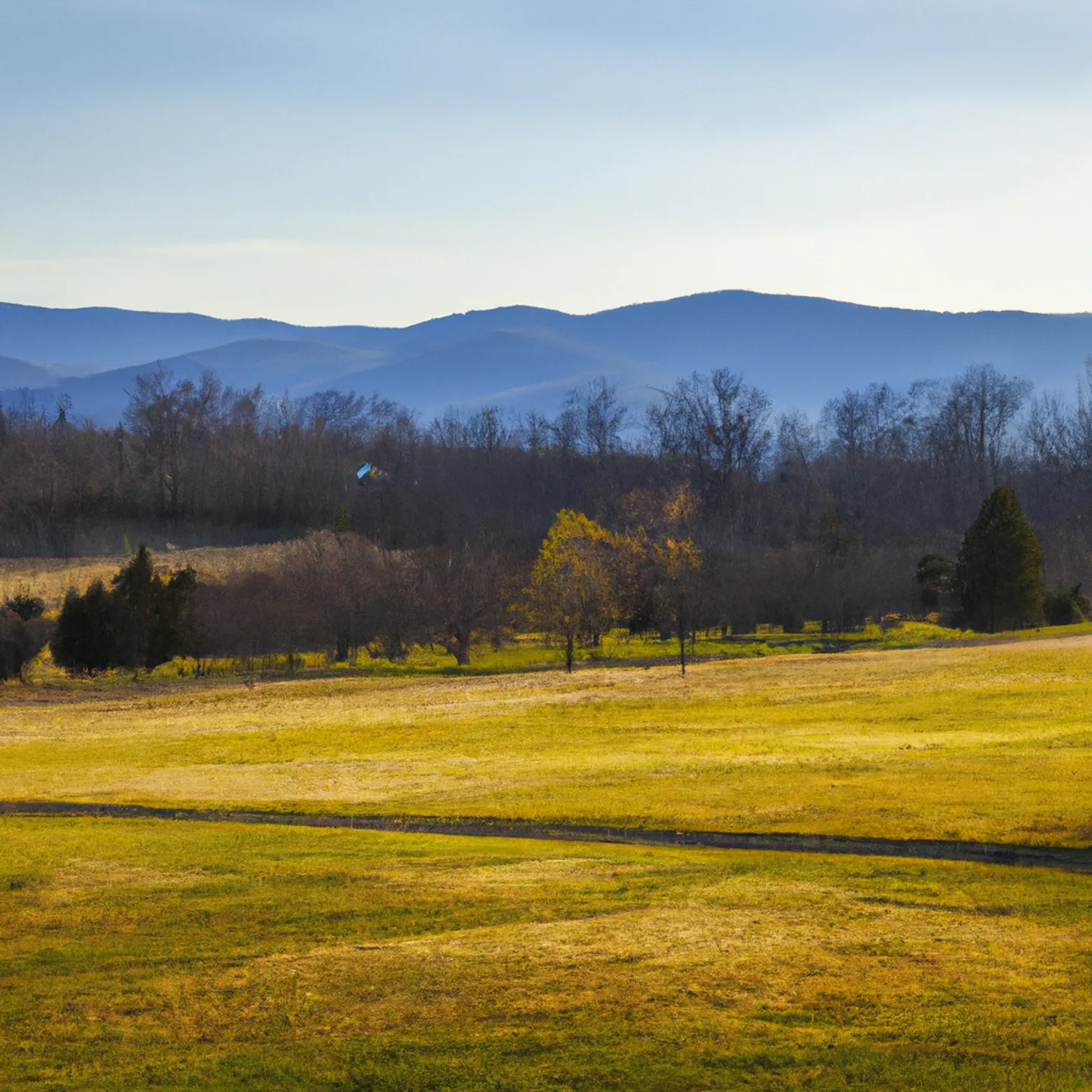 Vacant land parcel for sale in Crozet, Virginia